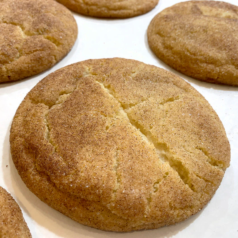 Snickerdoodle - Large